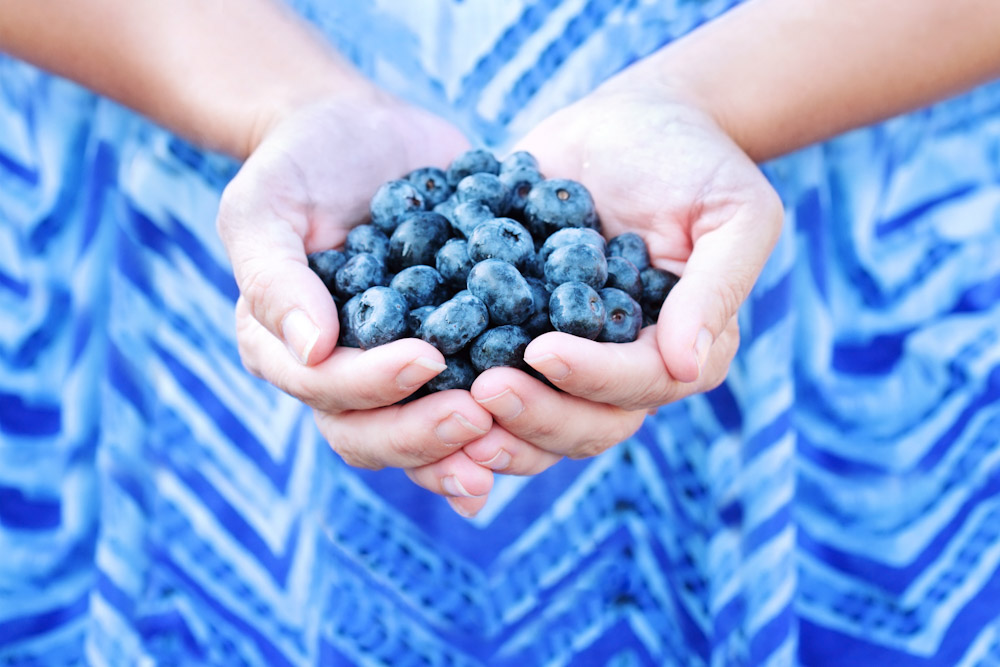 Woman Holding Blueberries